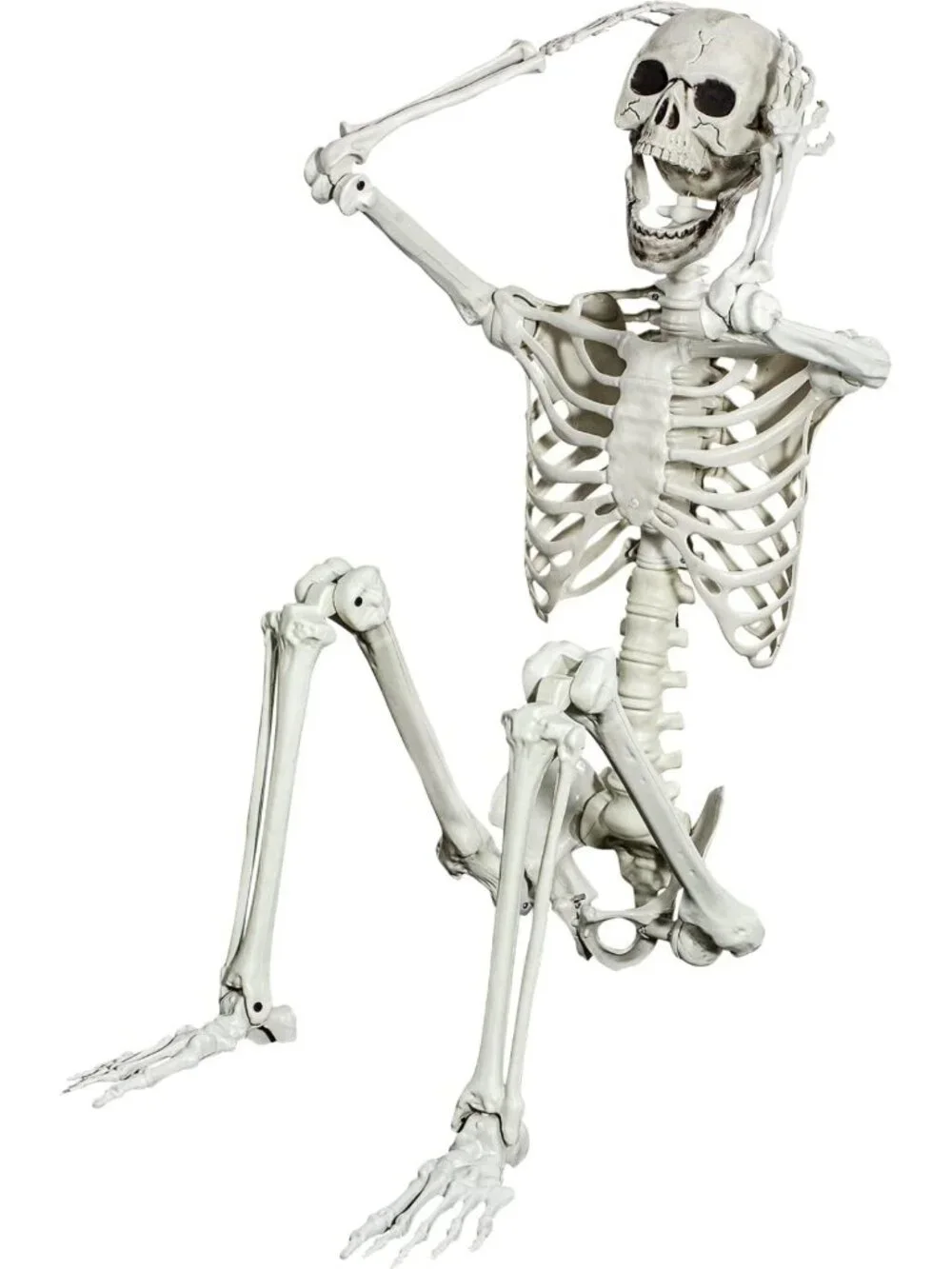 Life-Size 5.4ft Posable Halloween Skeleton - Movable Joints for Spooky Décor